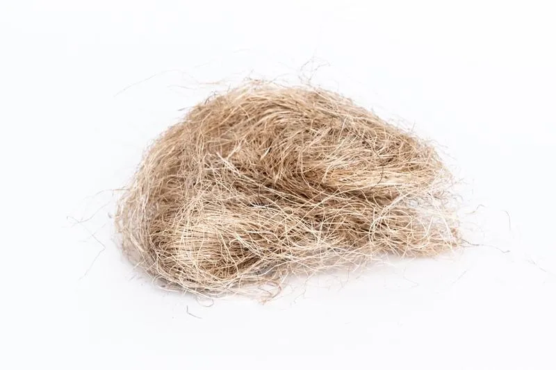 Sianko dekoracyjne gdzie kupić