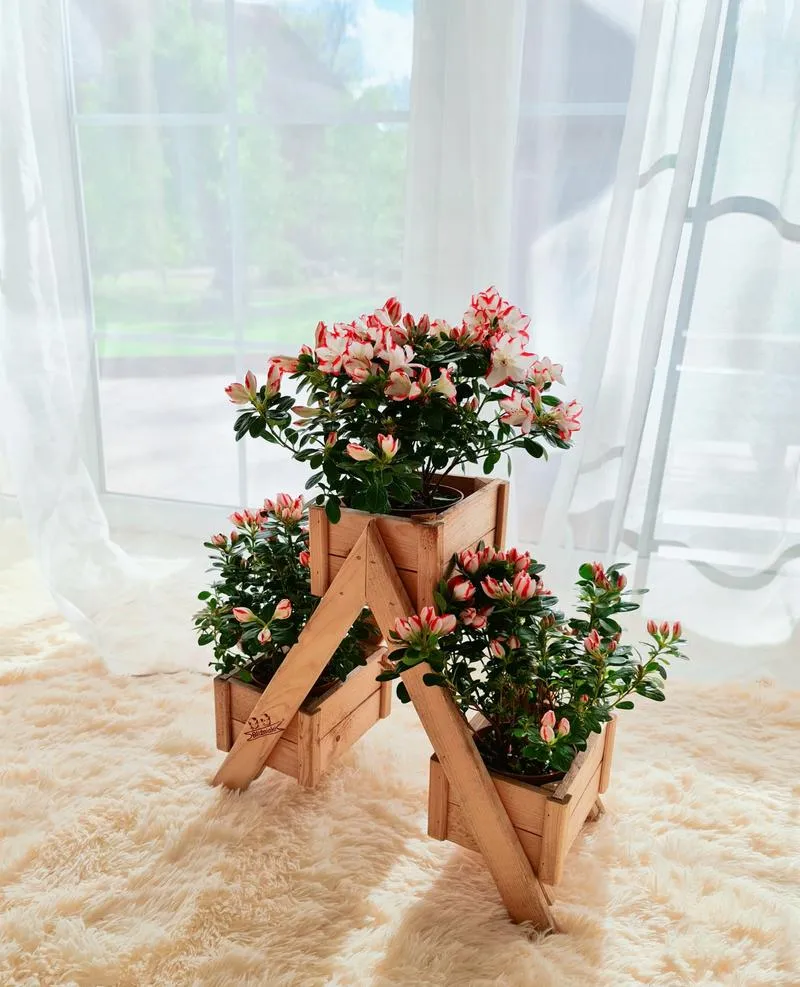 Upcykling plastikowych butelek